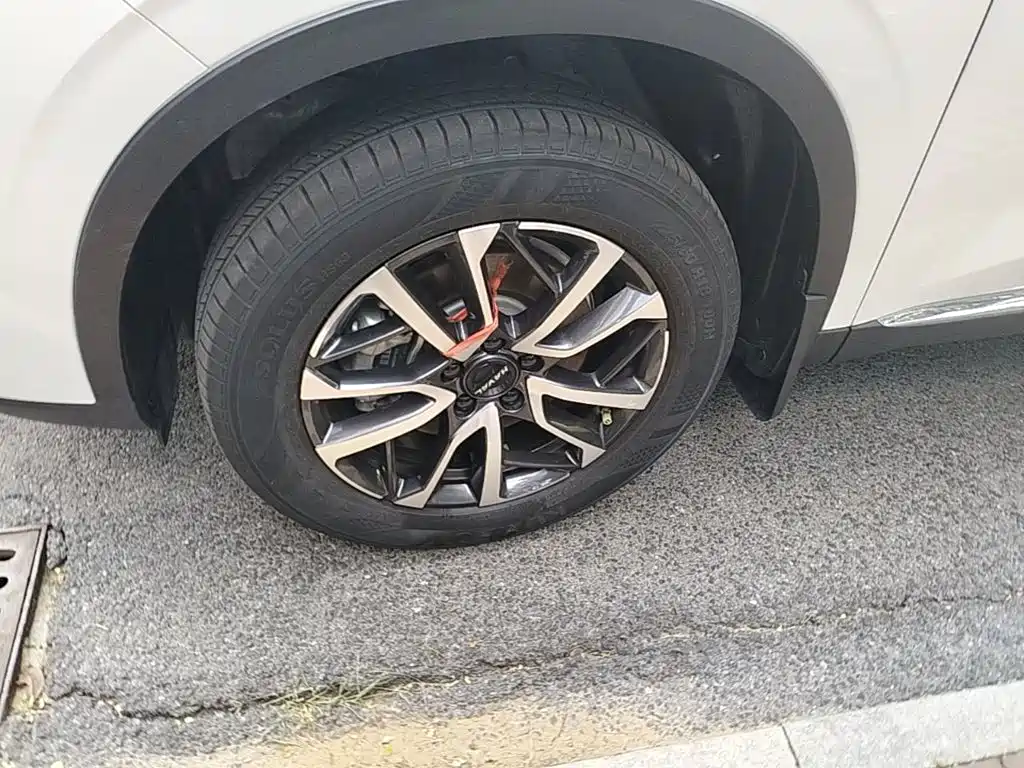Haval H6 2025 2024 Model 1.5T 2WD Classic Edition