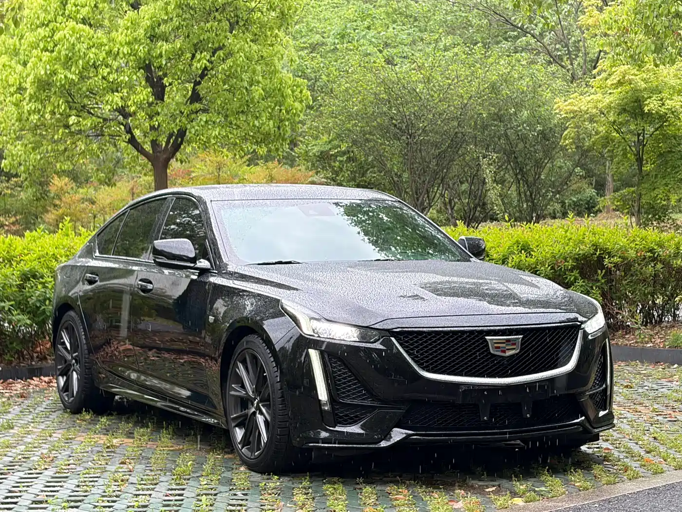 Cadillac CT5 2020 Facelift 28T Platinum Sport Edition фото 3