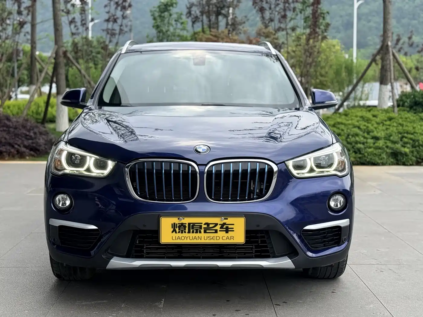 BMW X1 New Energy 2018 xDrive25Le Luxury Model фото 2