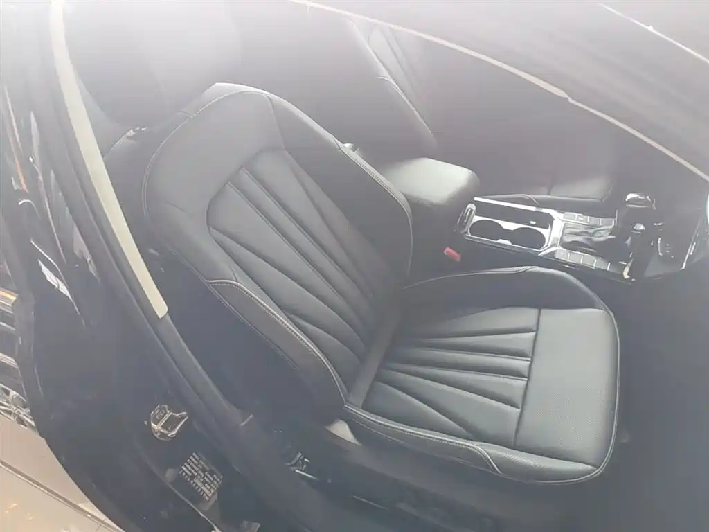 Volkswagen Passat 2024 330TSI Starlight Elite Edition фото 25