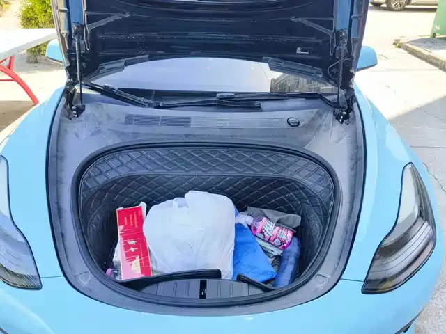 Tesla Model 3 2022 Model Rear-Wheel Drive Version — фото 3