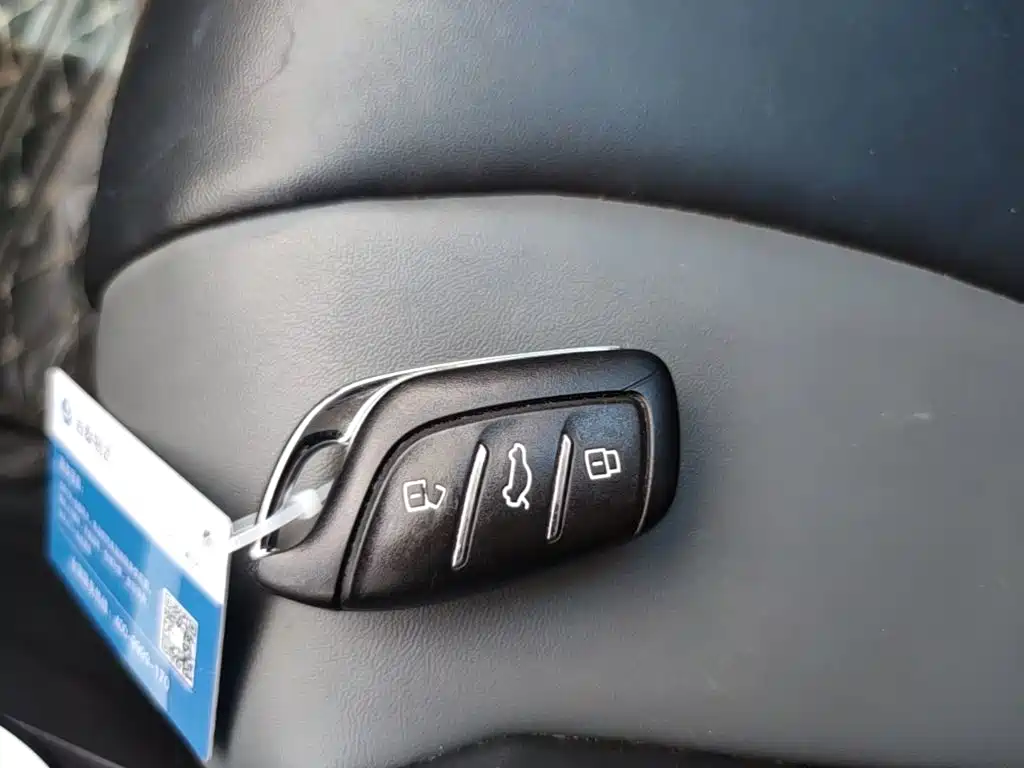 Roewe Kaiwei CLEVER 2023 2022 311km Vitality Bobo Edition