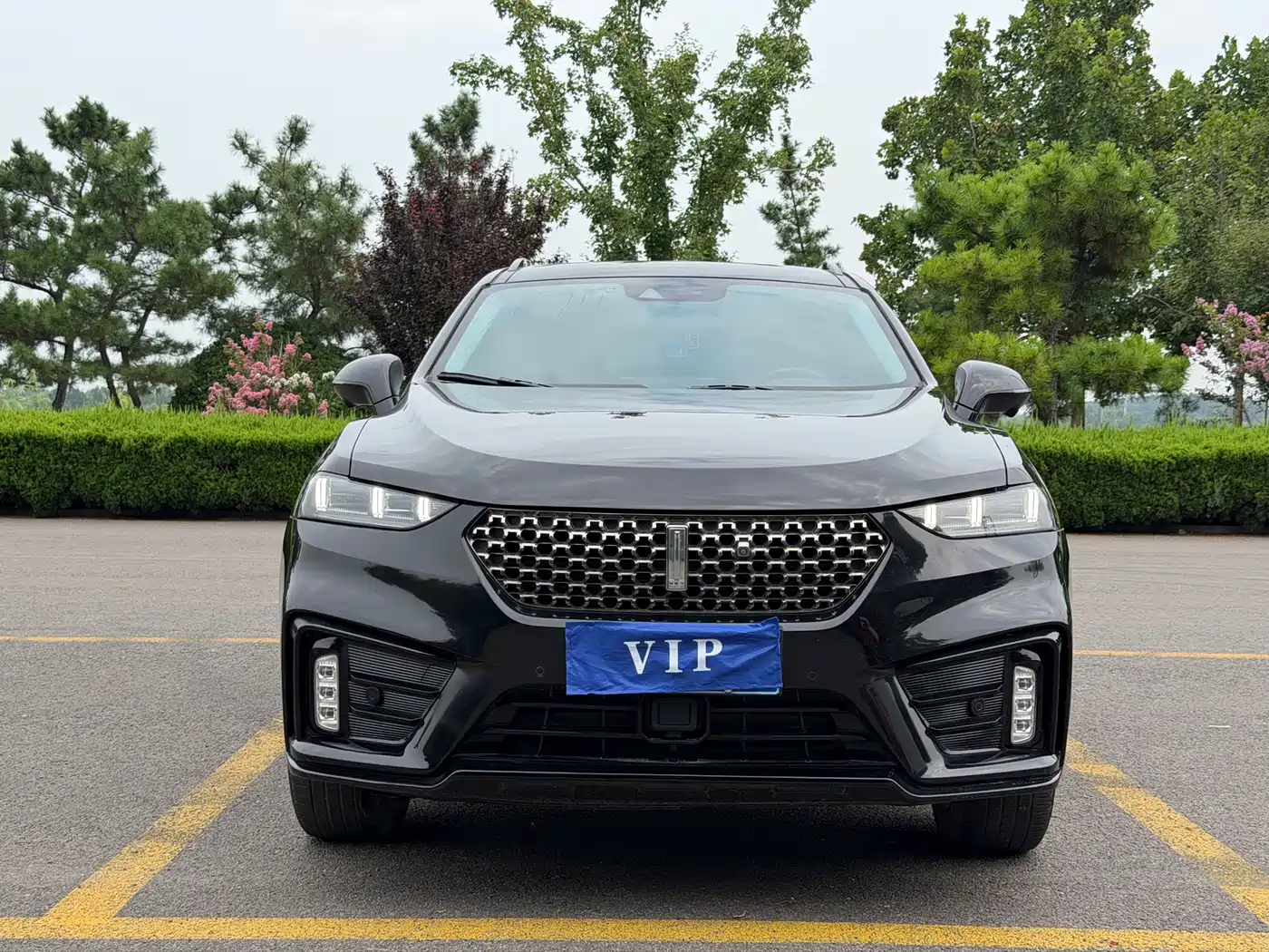 WEY VV7 2020 2.0T Super Luxury