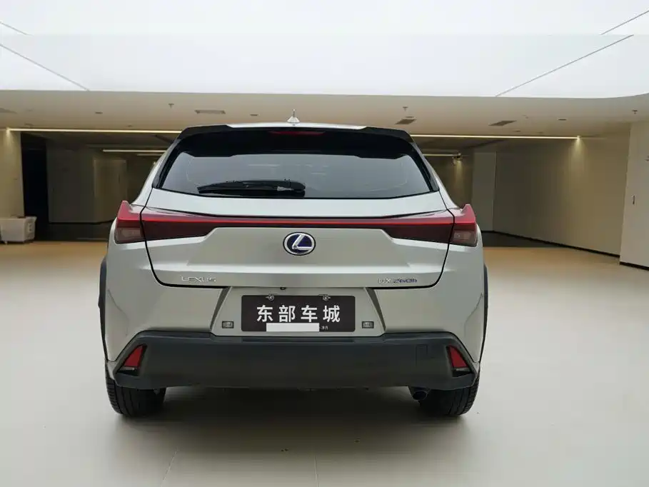 Lexus UX 2021 2020 260h Explore Cool Edition
