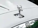 Фото 11 - Rolls-Royce Wraith