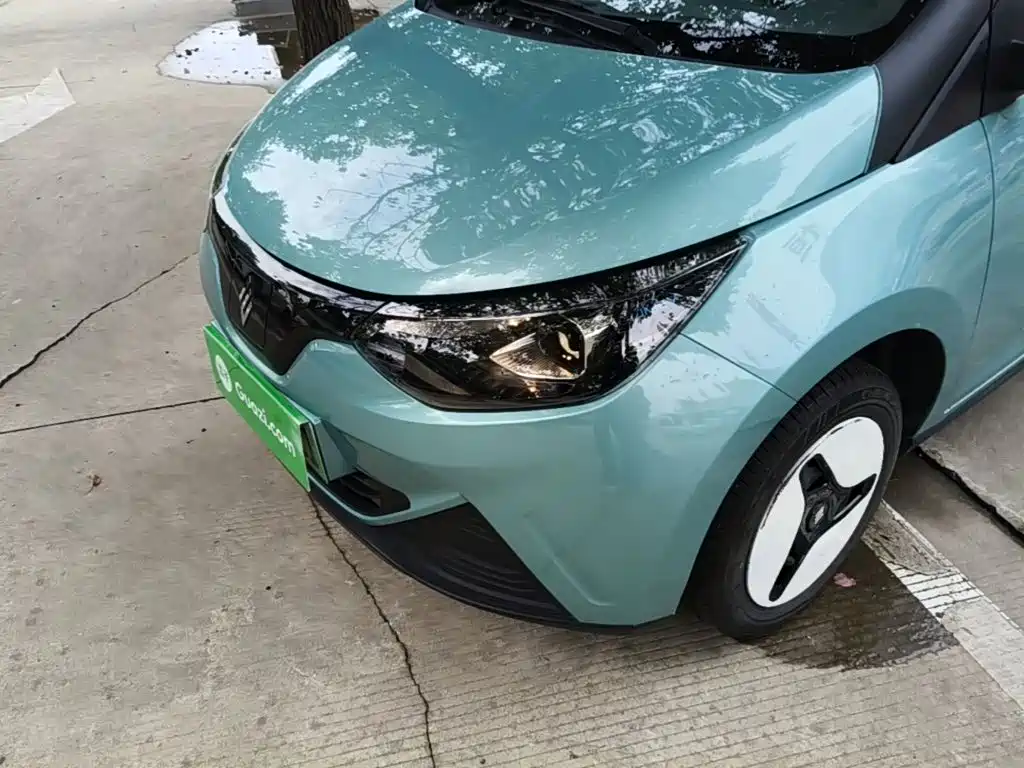 JMCG New Energy Little Kirin 2025 2024 201km Comfort Model