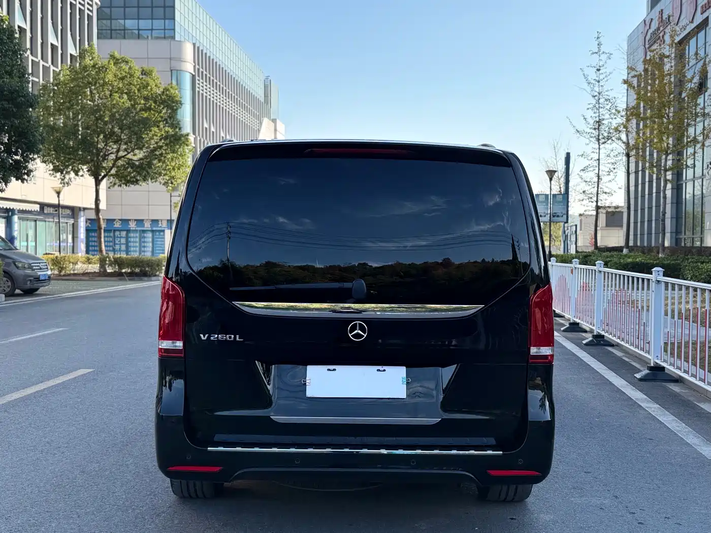 Mercedes-Benz V-Class 2022 V 260 L Long Wheelbase Luxury Edition фото 5