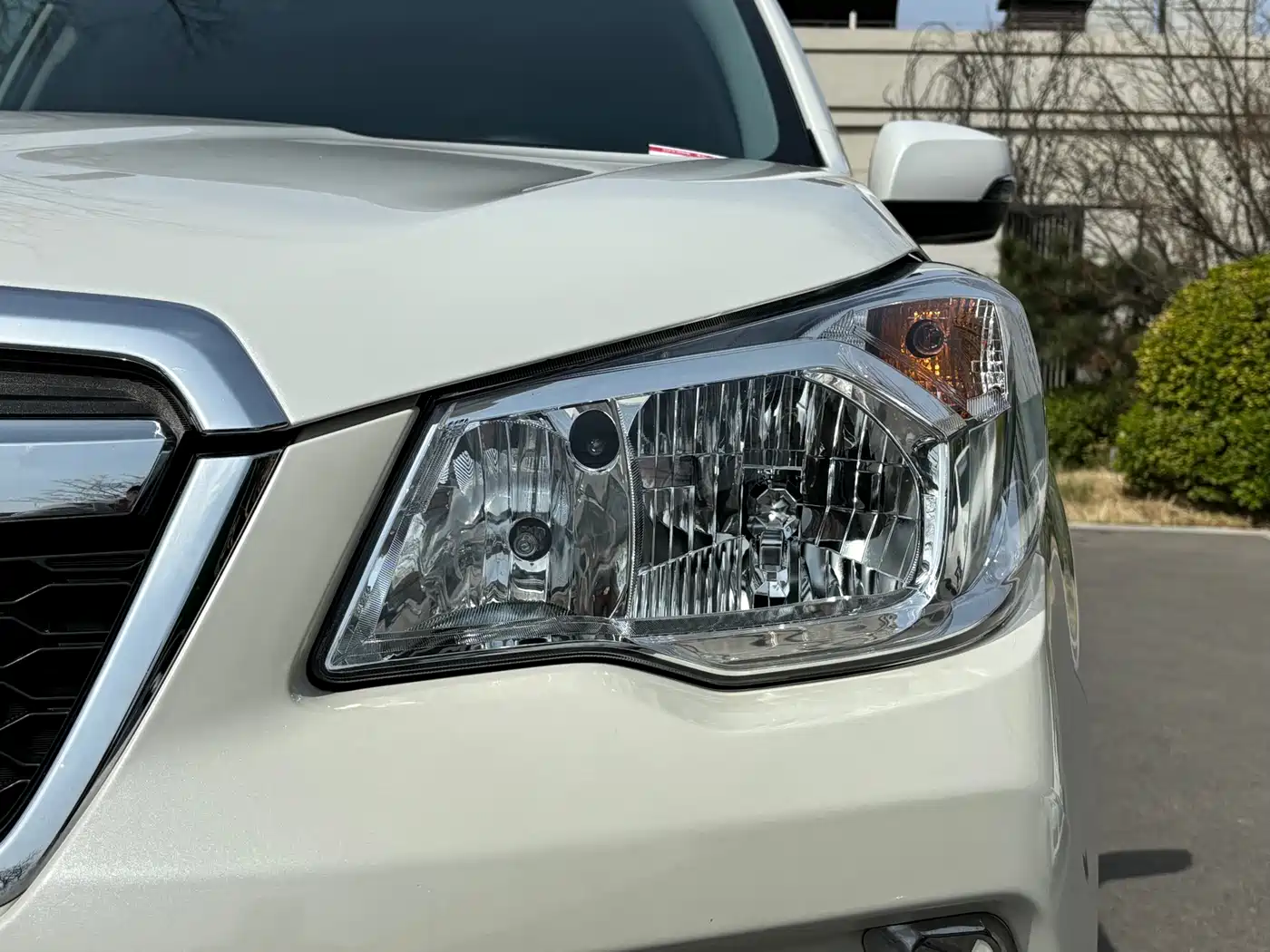 Subaru Forester 2015 2.0i Special Commemorative Edition фото 3