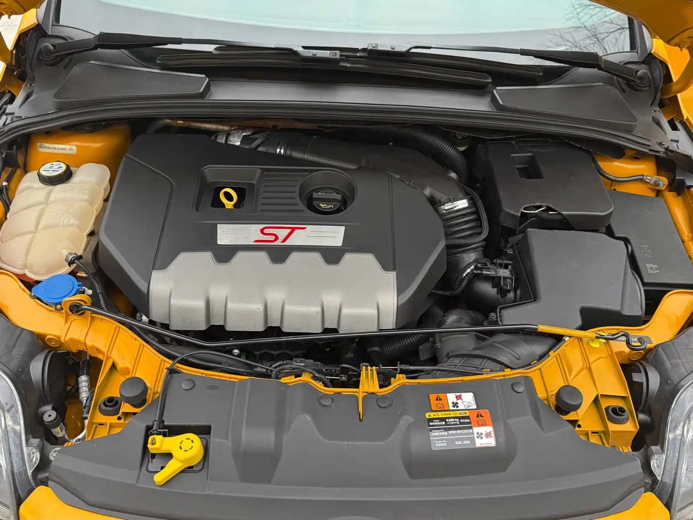 Ford Focus (Import) 2014 2013 2.0T ST Orange Edition