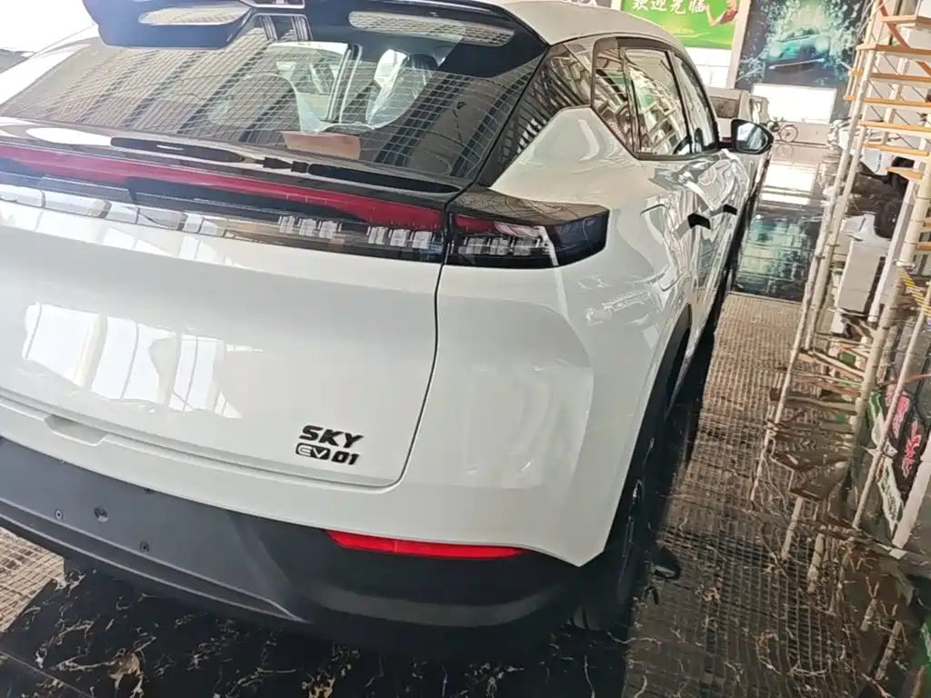 Фото 24 - Dongfeng Aeolus SKY EV01