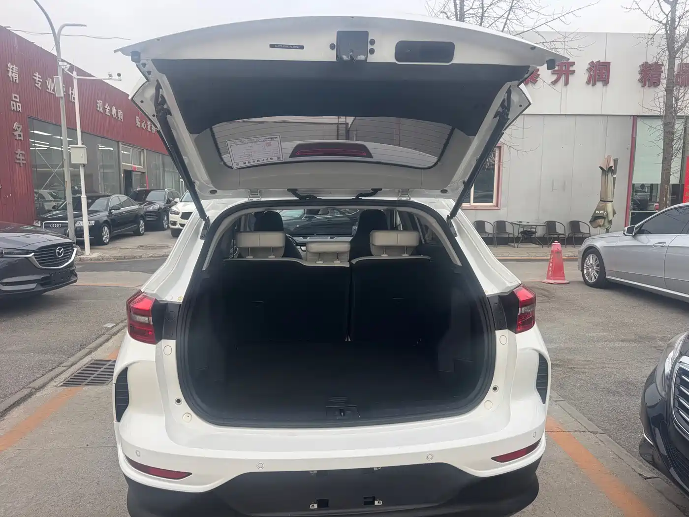 Weltmeister WEIMA EX5