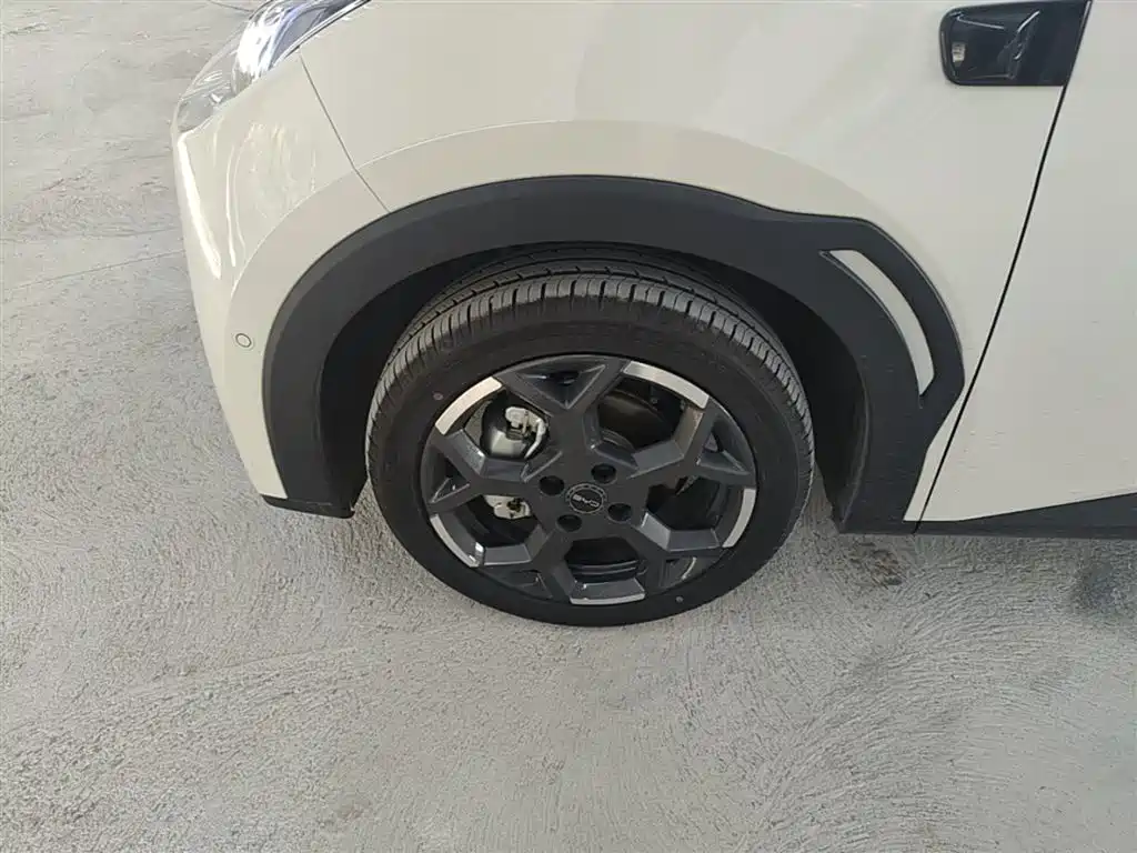 BYD Seagull 2025 Smart Drive Edition 305km Freedom Version фото 23