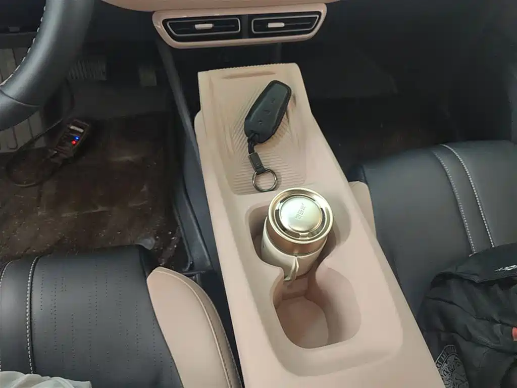 BYD Seagull 2025 Smart Drive Edition 305km Freedom Version фото 14