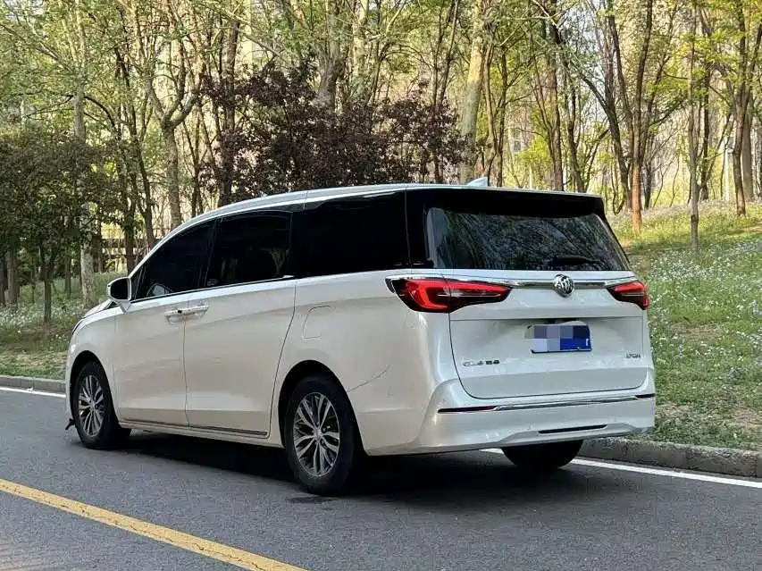 Buick GL8 2023 ES Landmaster Exclusive фото 4