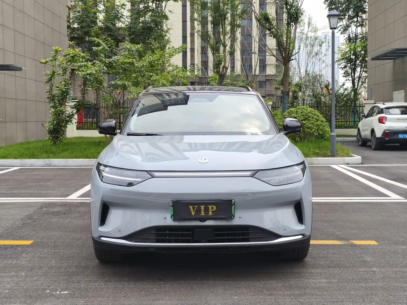 Leapmotor C11 2025 2024 Pure Electric 580 Premium Edition