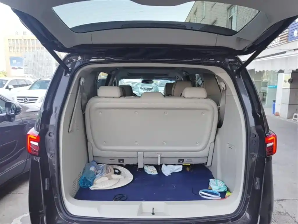Buick GL8 2021 Land Business Class 652T Luxury фото 19