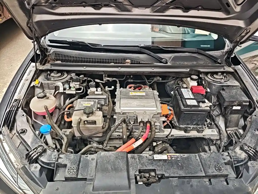 BYD e2 2022 2021 Luxury Edition
