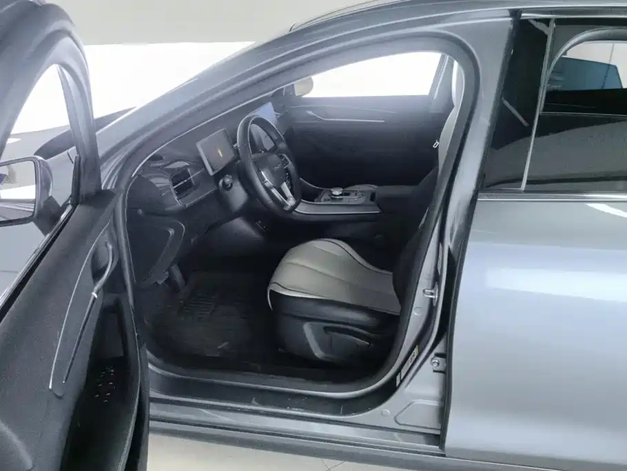 BYD Destroyer 05 2025 2024 Glory Edition DM-i 55KM Luxury