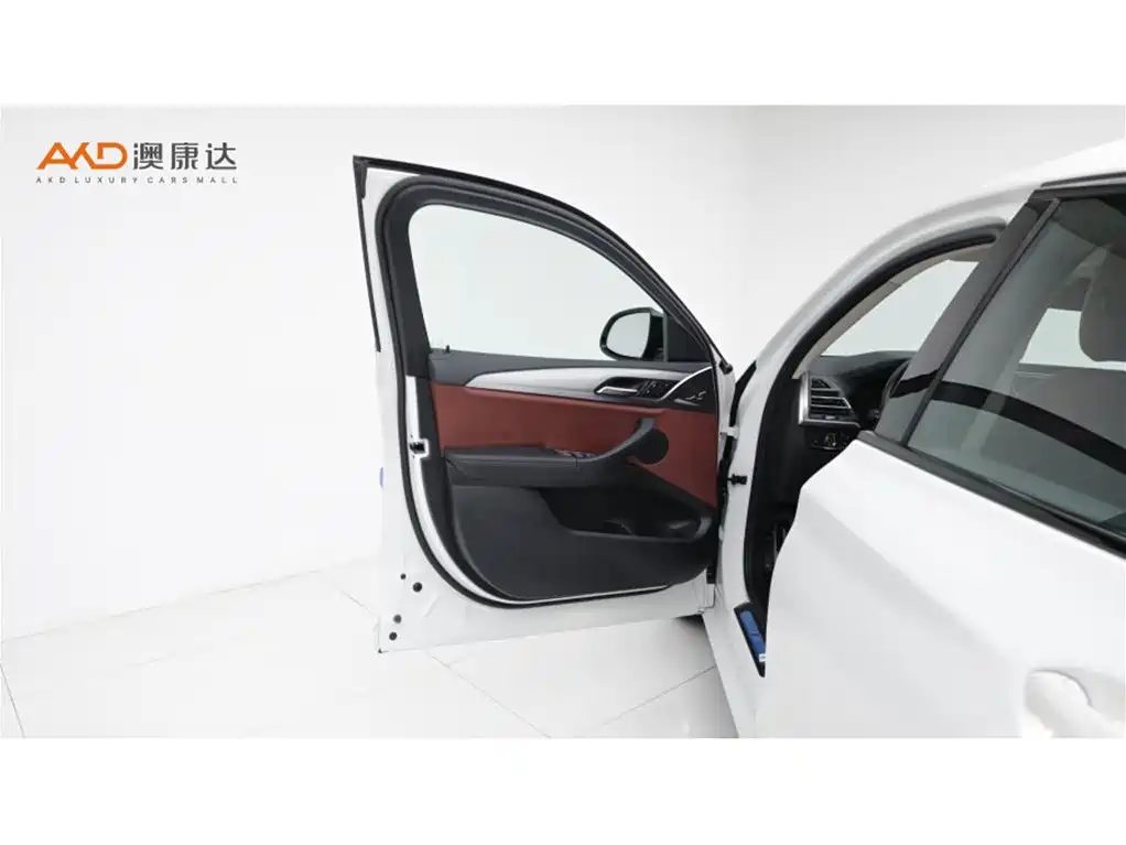 BMW X4 2023 2022 xDrive 25i M Sport Package