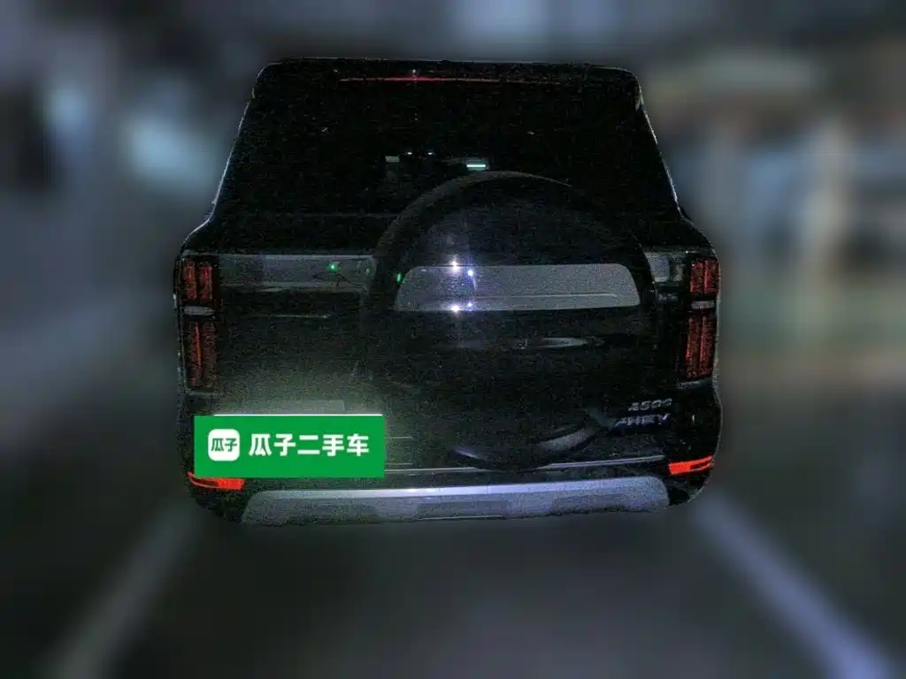 Фото 6 - Tank 500 EV
