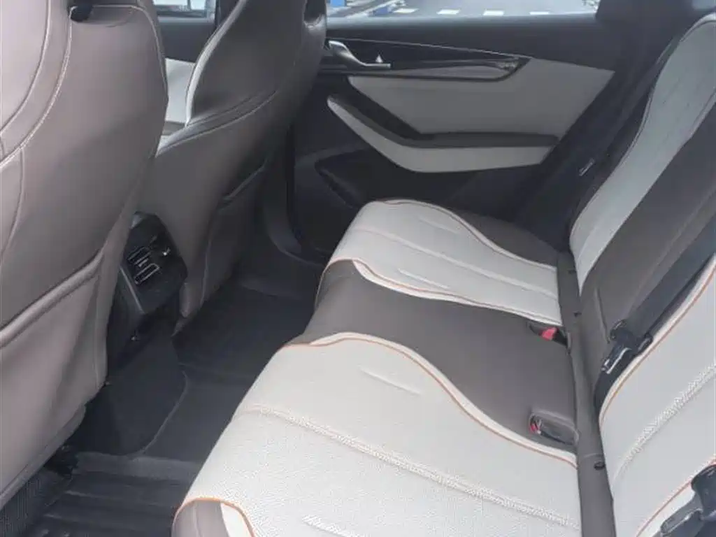 BYD Qin PLUS 2023 Champion Edition EV 420KM Advanced Type фото 5