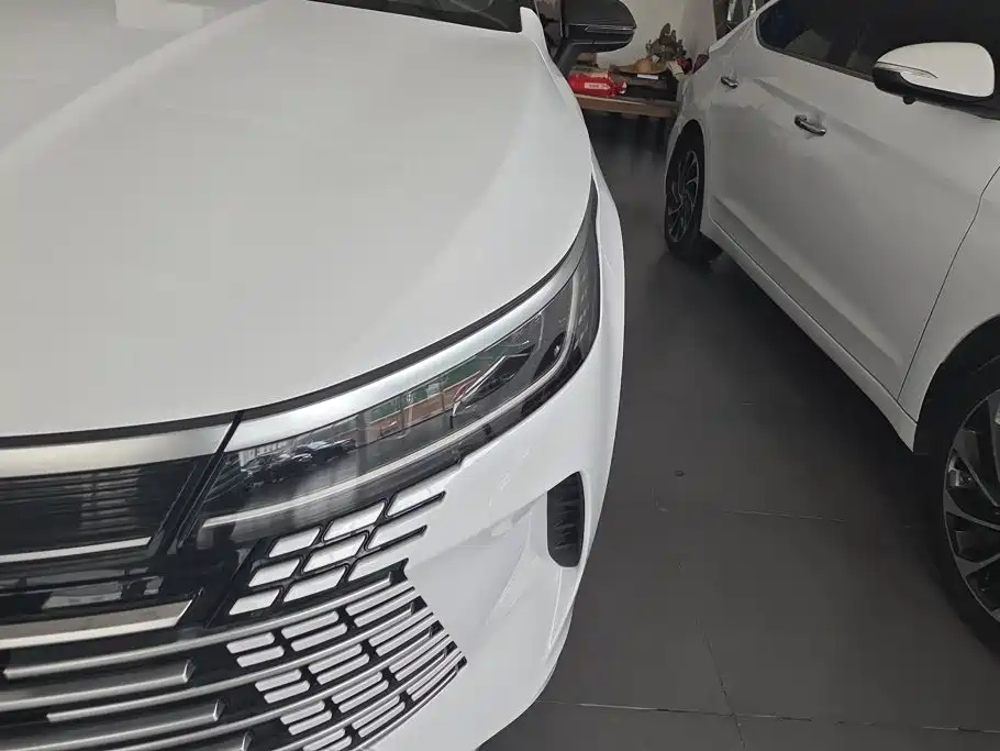 BYD Destroyer 05 2025 2024 Glory Edition DM-i 55KM Luxury
