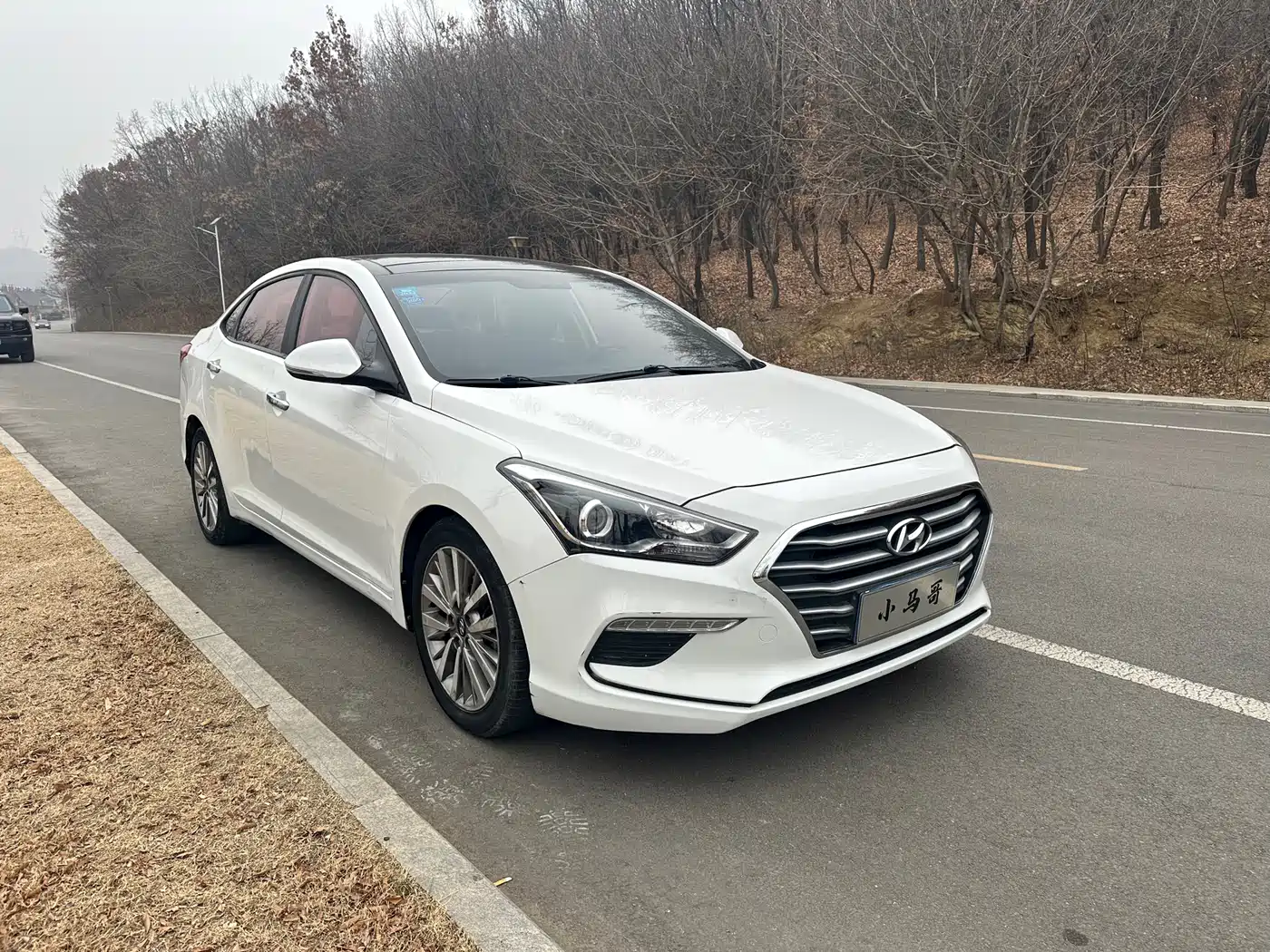 HYUNDAI NAME PICTURE