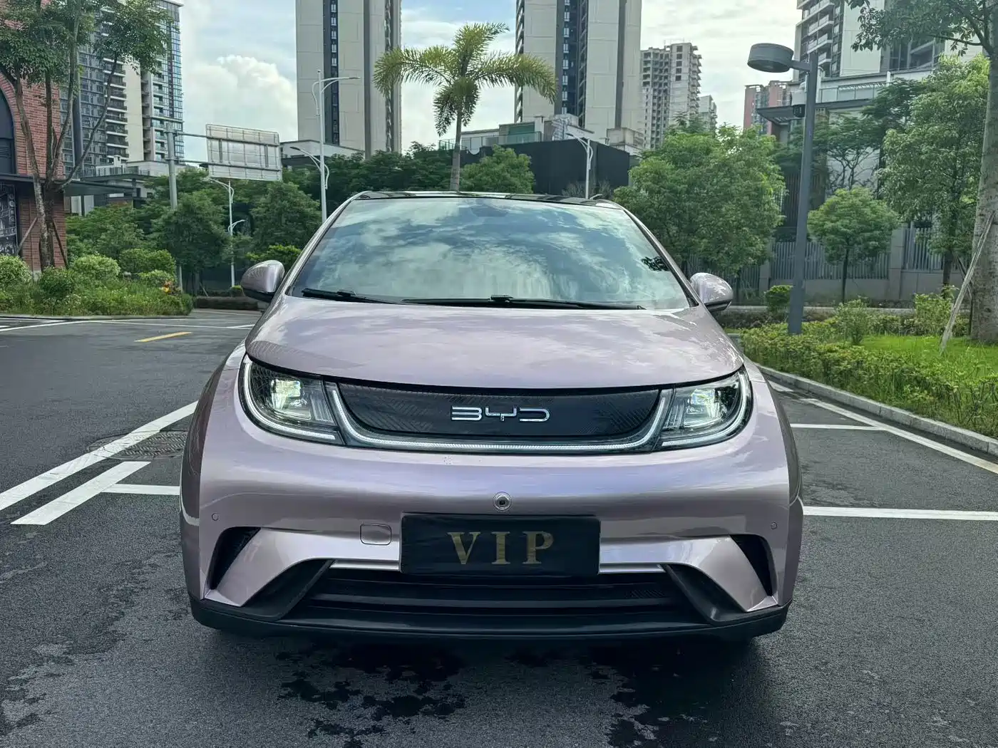 Photo 3 - BYD Dolphin