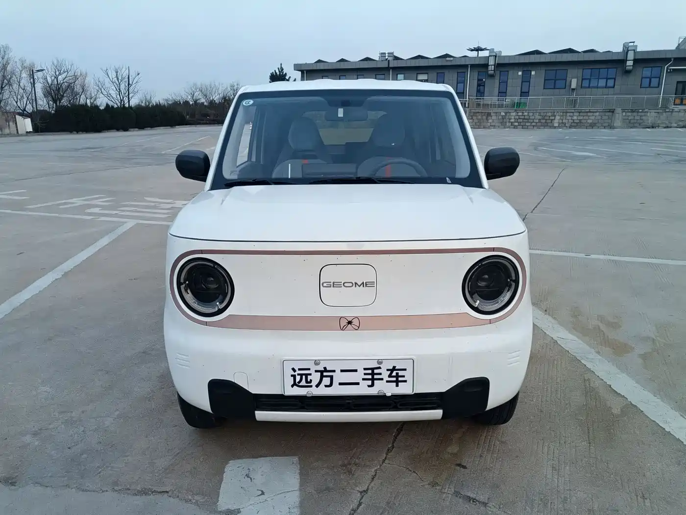 GEELY GALAXY PANDA