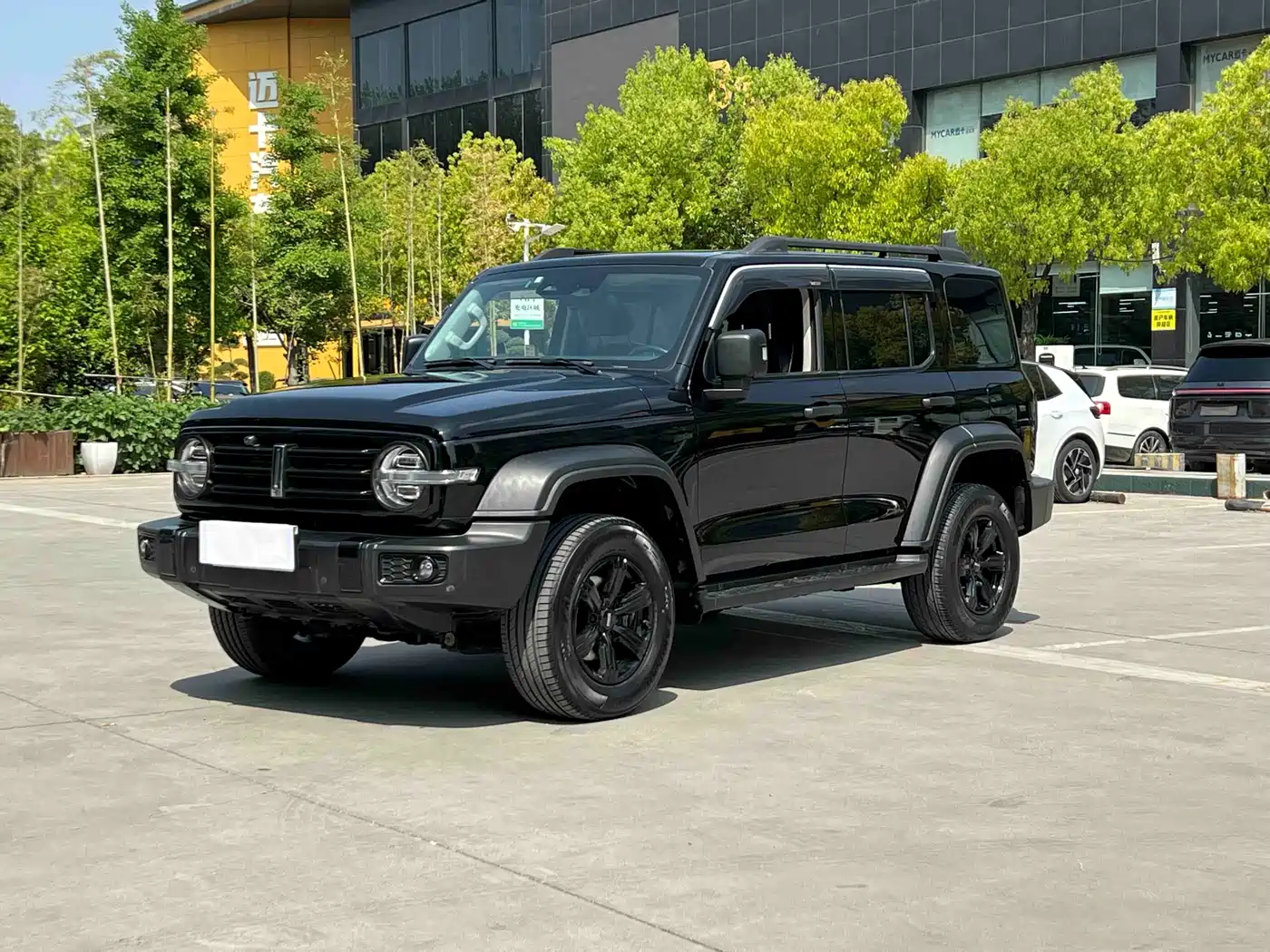 Tank 300 2021 Off-road Edition 2.0T Challenger