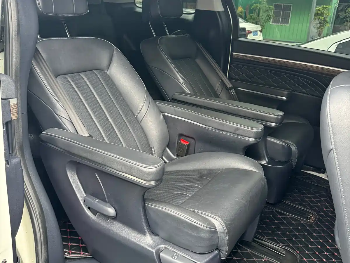 GAC Trumpchi Trumpchi M8 2020 Pilot 390T Premium Edition фото 16