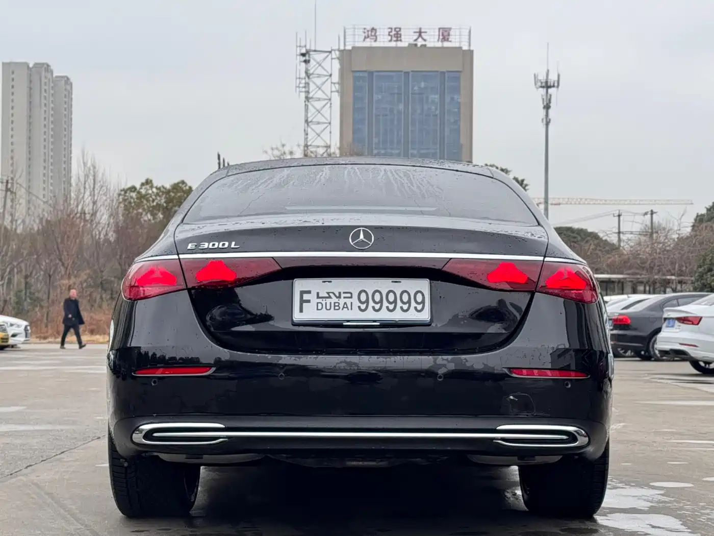 Mercedes-Benz E-Class 2025 E 300 L Luxury фото 9