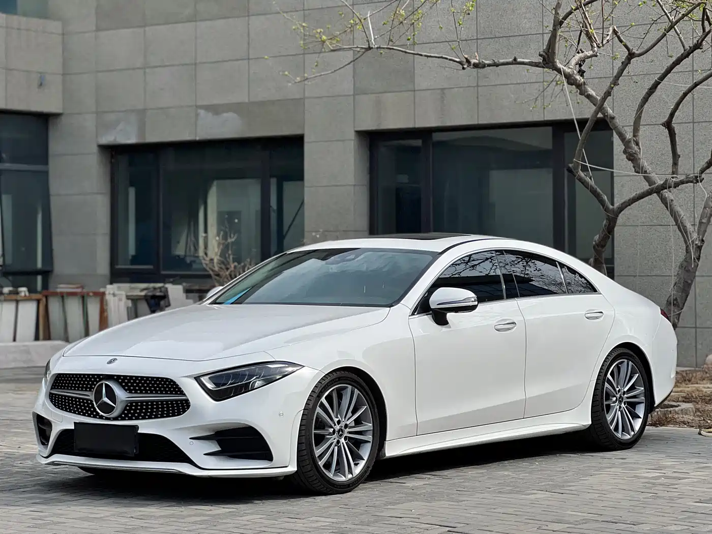 Mercedes-Benz CLS 2018 CLS 300 Luxury