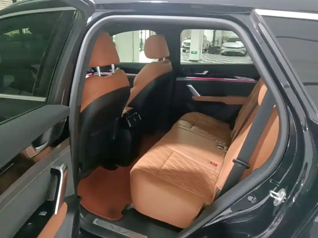 BYD Tang New Energy 2023 Model DM-i Champion Edition 112KM Honor фото 17