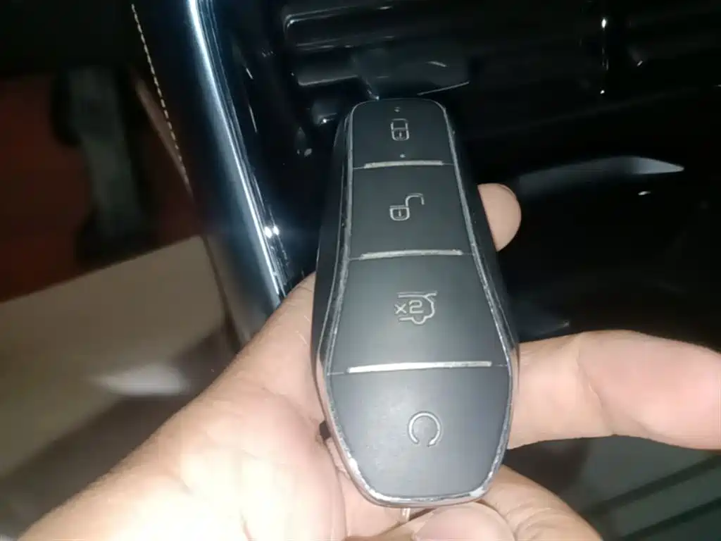 BYD Tang New Energy 2023 Model DM-i Champion Edition 112KM Honor фото 9