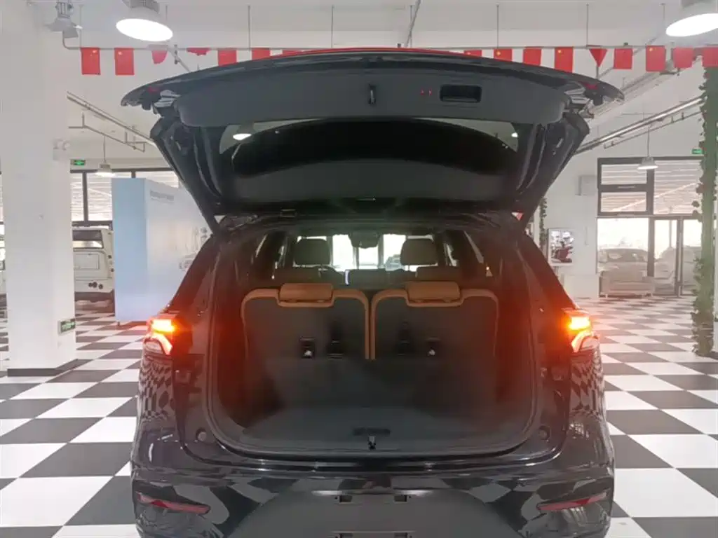 BYD Tang New Energy 2023 Model DM-i Champion Edition 112KM Honor фото 19