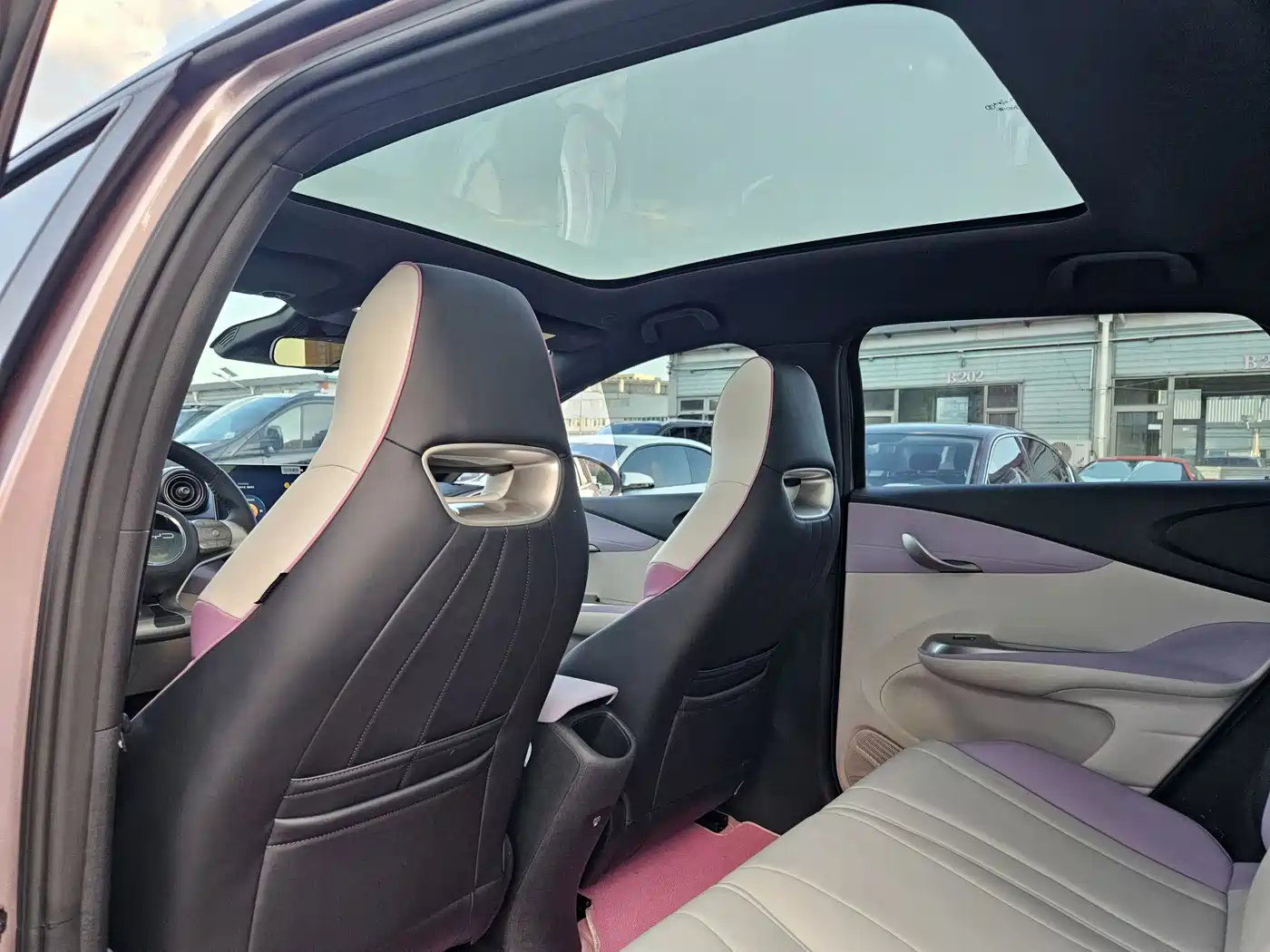 BYD Dolphin 2022 2021 401km Knight Edition