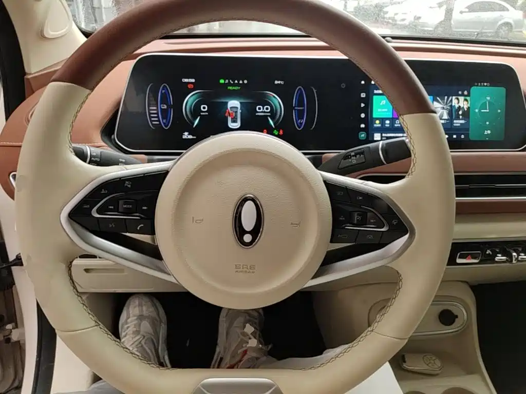 Ora Good Cat 2024 2023 401km Standard Range Luxury LFP
