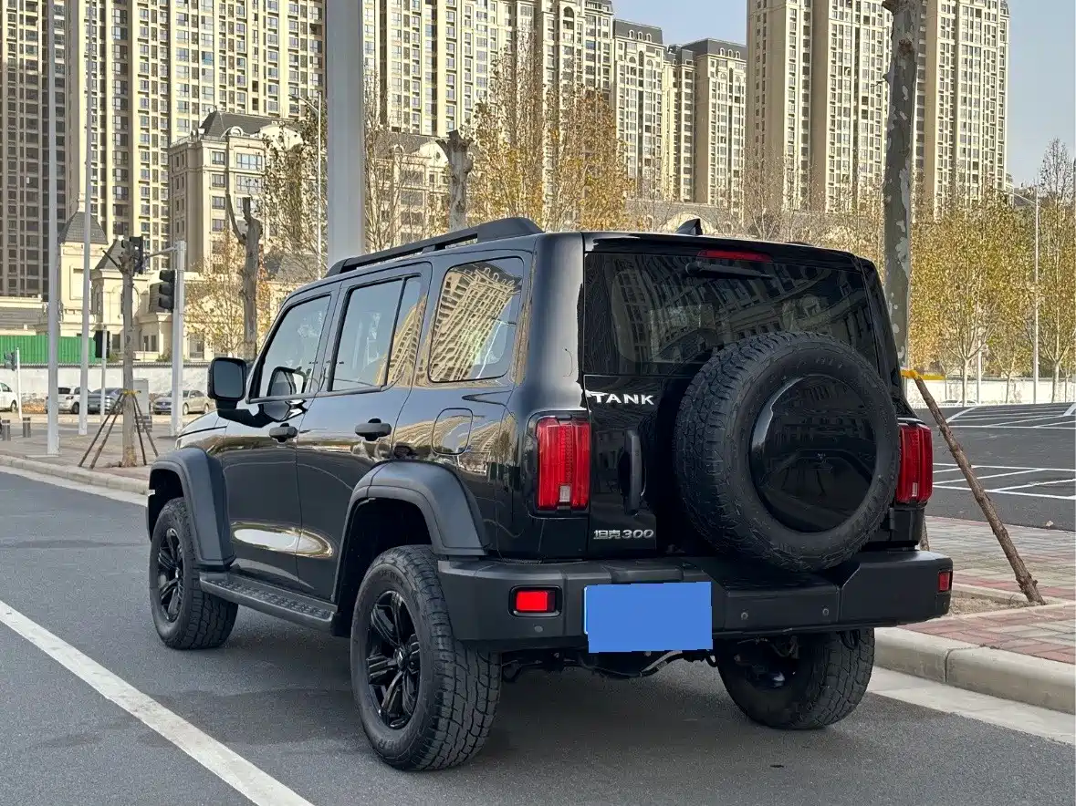 Tank 300 2021 Off-road Version 2.0T Conqueror фото 25