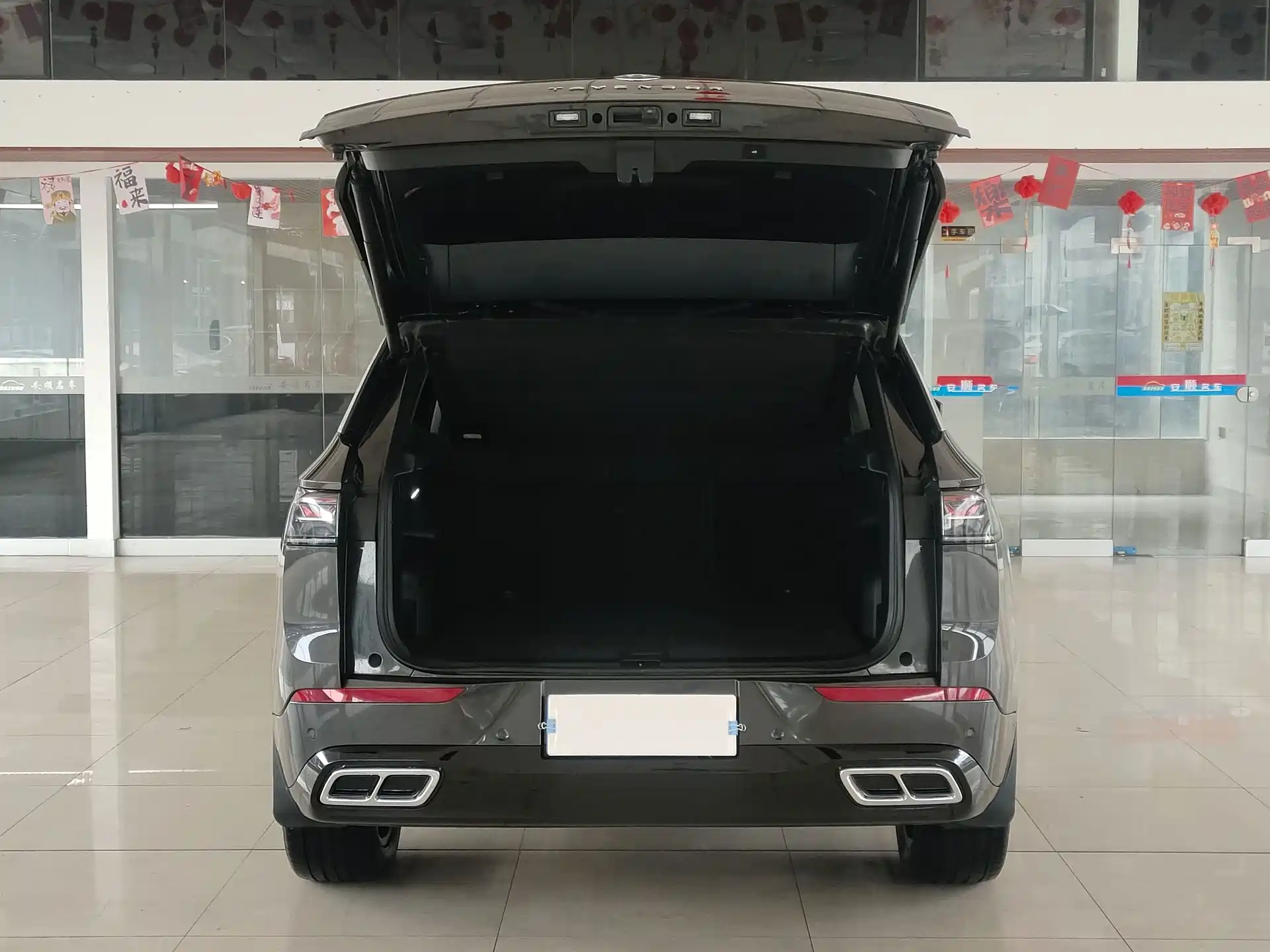 صورة 28 - Volkswagen Talagon