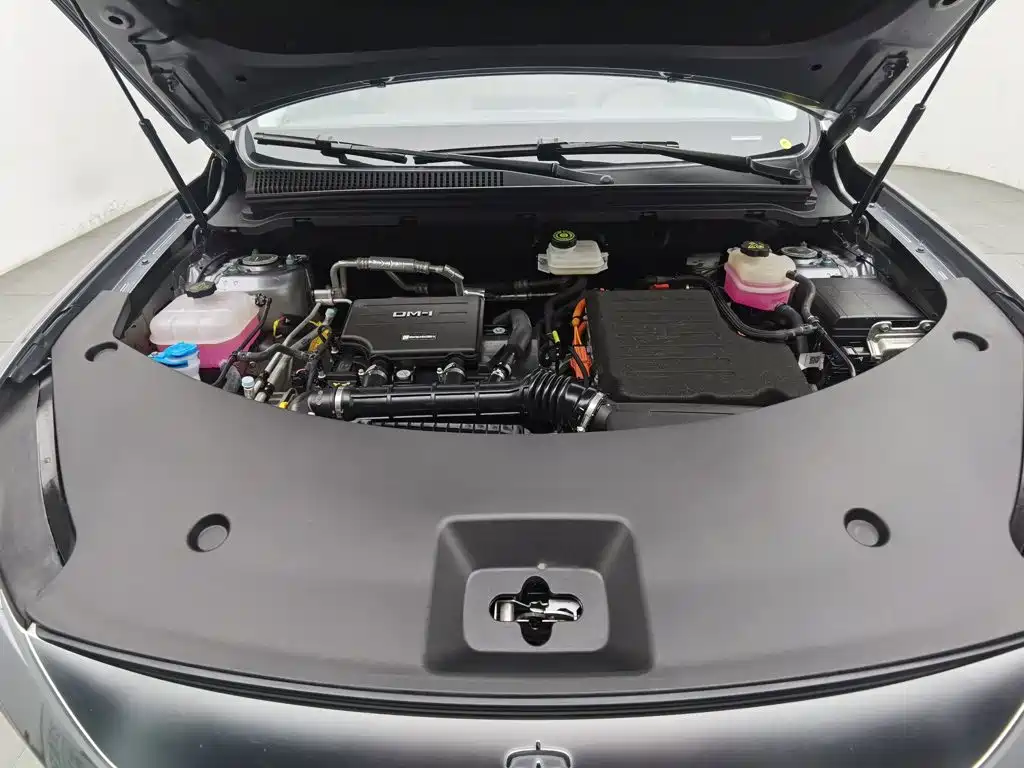 BYD Song Pro New Energy 2025 2025 2nd Gen DM-i 115KM Surpassing Type