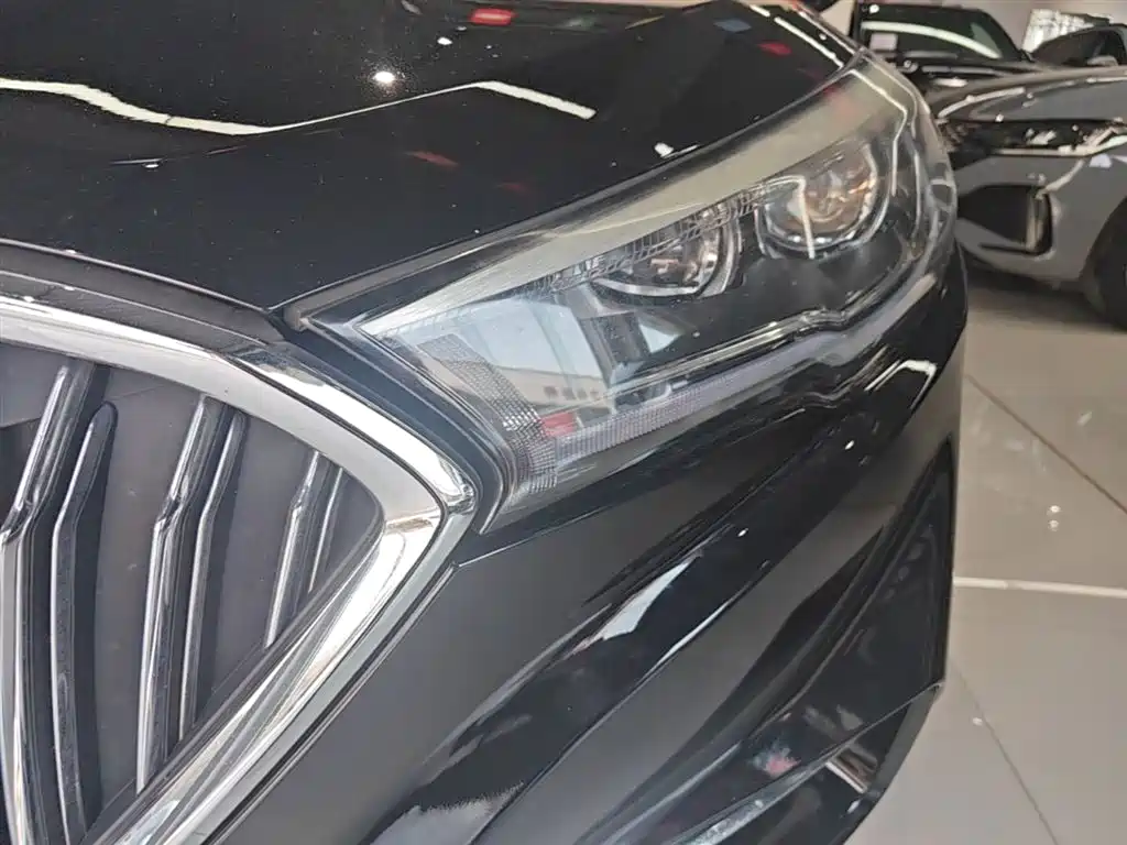 Hongqi H5 2019 30TD Style Edition фото 24