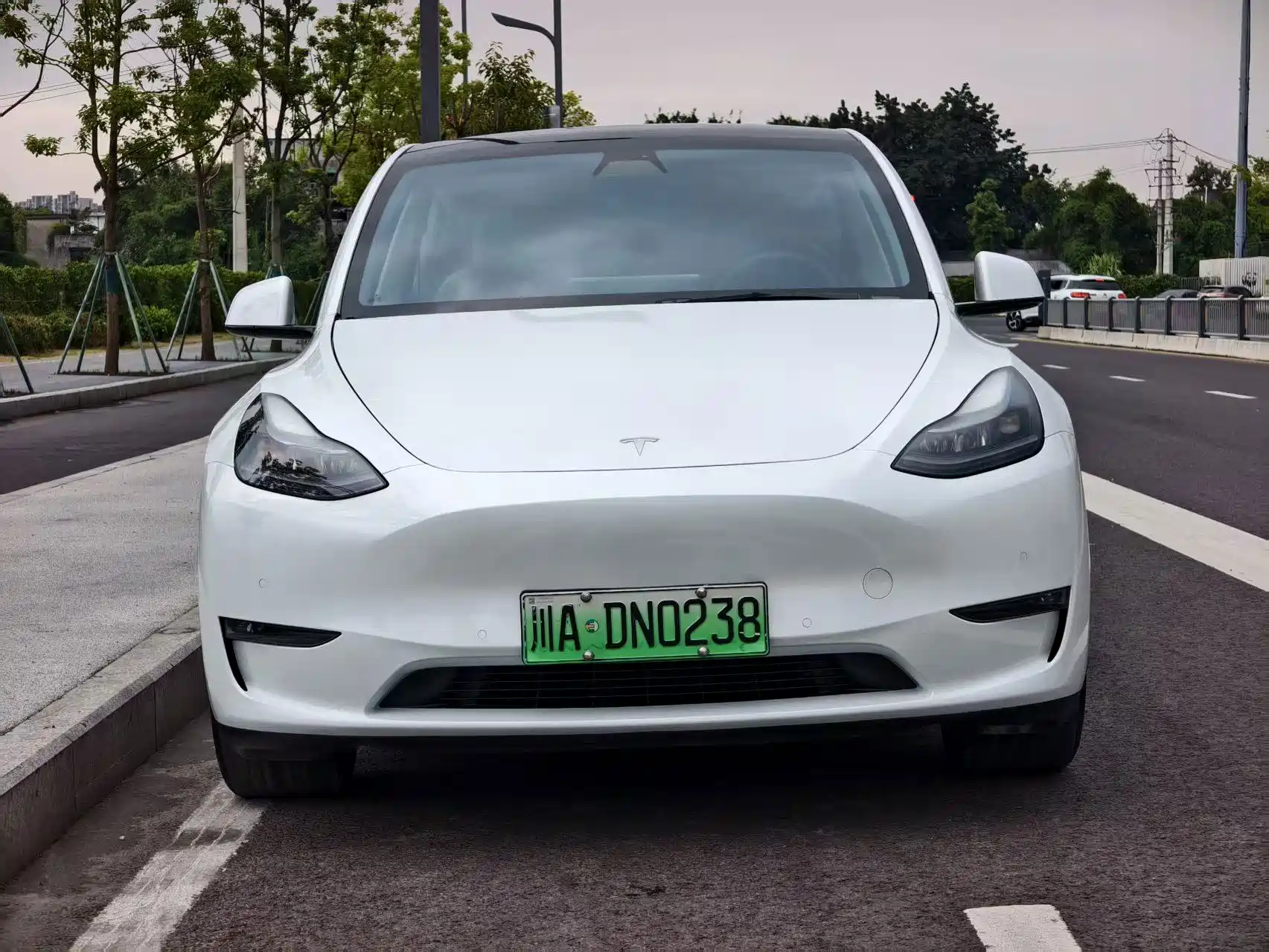 Фото 6 - Tesla Model Y