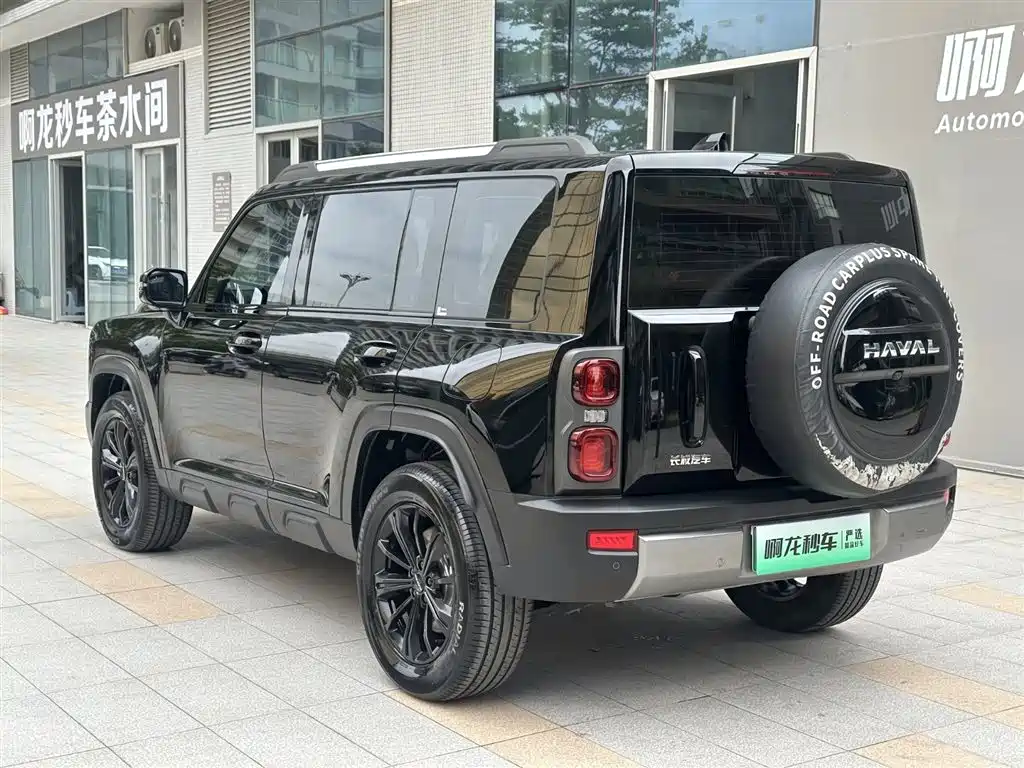 HAVAL RAPTORS NEW ENERGY