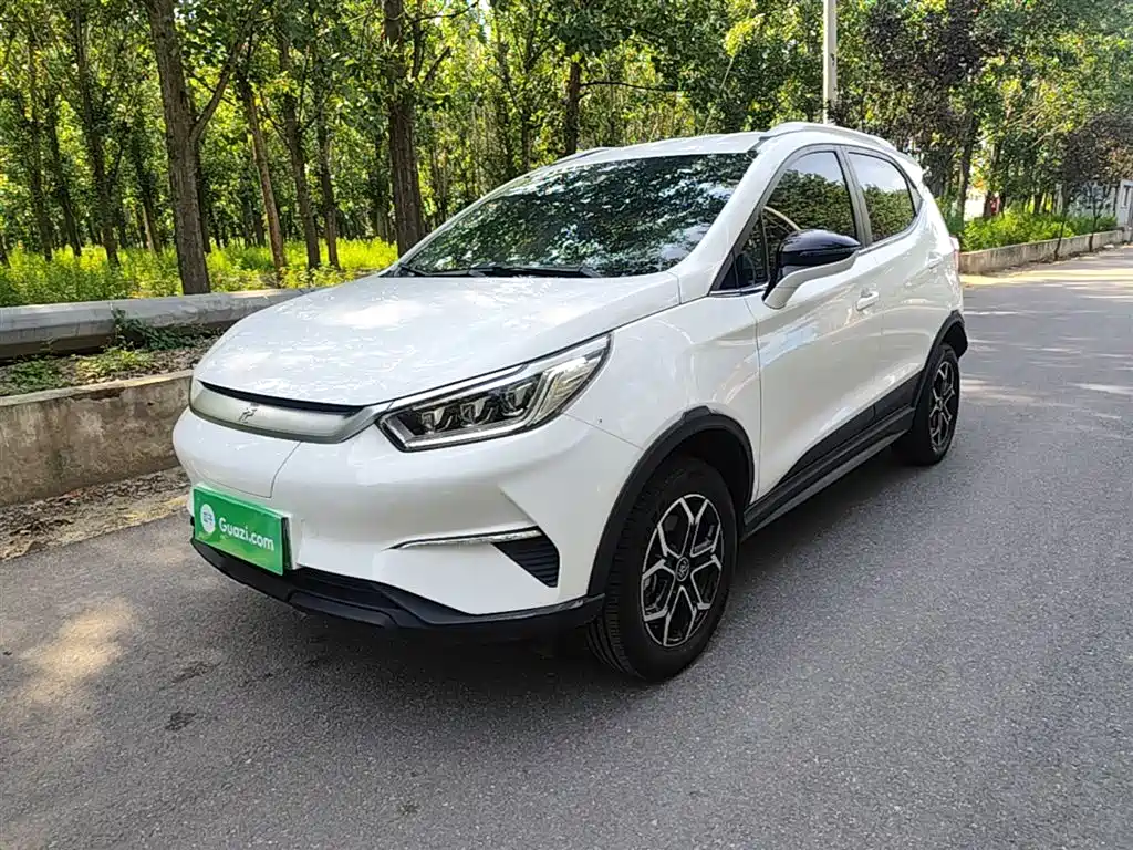 BYD Yuan Pro 2021 401KM Luxury Model