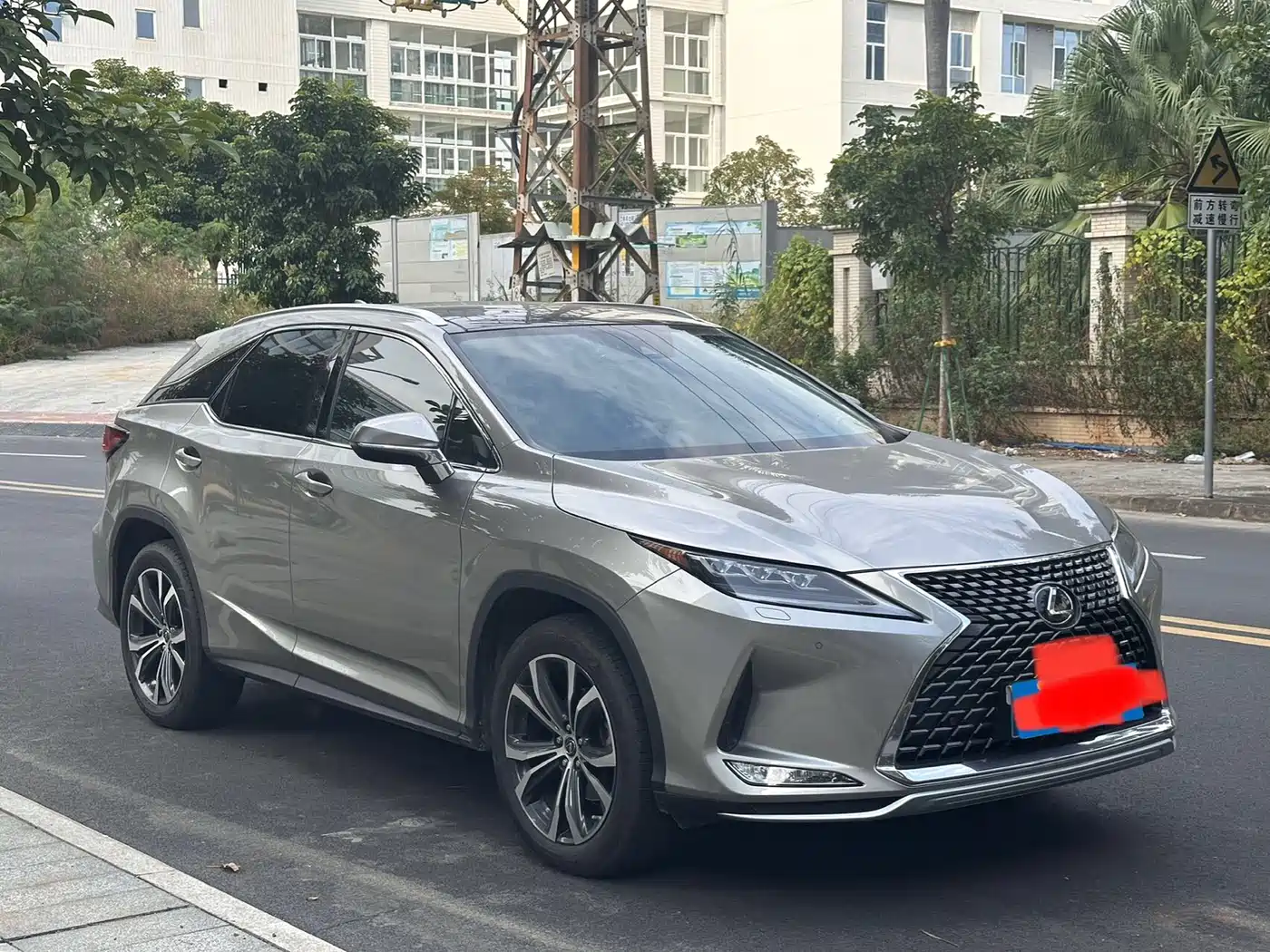 LEXUS RX