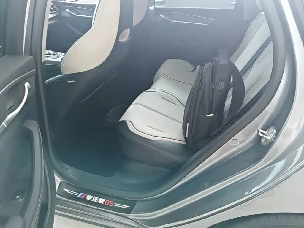 BYD Destroyer 05 2025 2024 Glory Edition DM-i 55KM Luxury