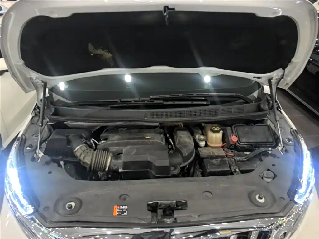 Buick GL8 2021 ES Landlord 653T Comfort фото 20