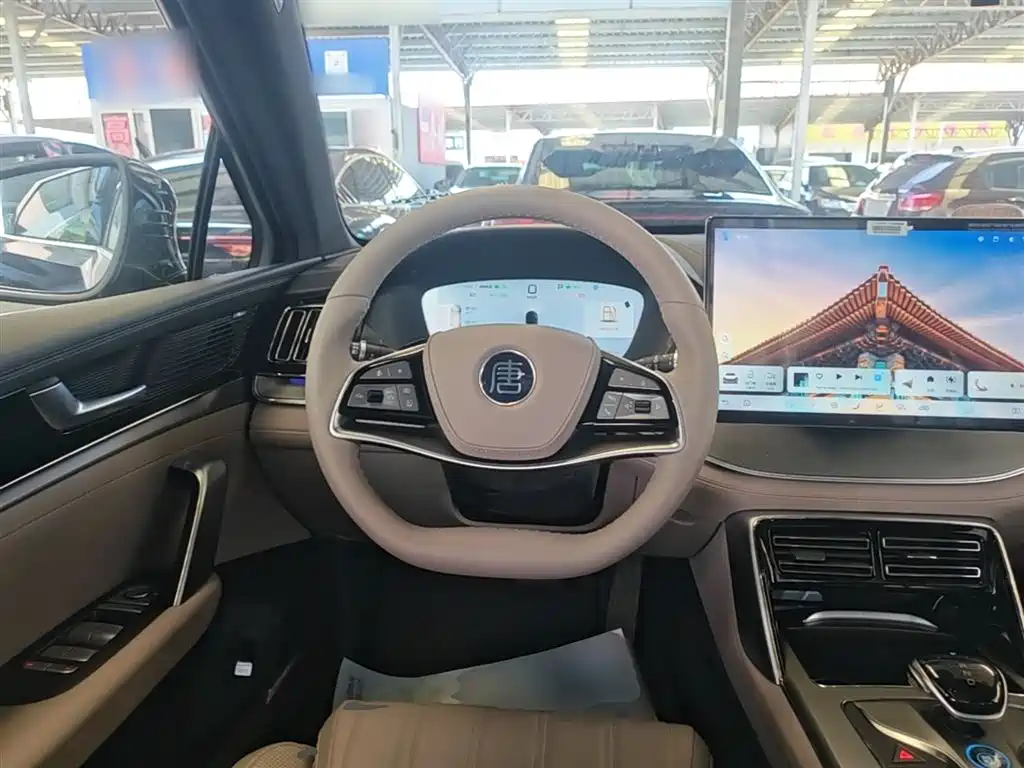 BYD Tang New Energy 2025 Smart Driving Edition DM-i 115KM Flagship фото 11