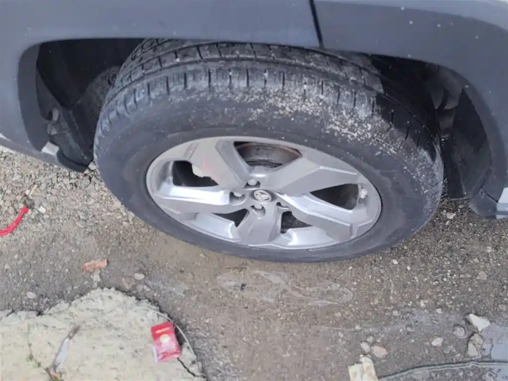 Toyota RAV4 Rongfang 2021 2.0L CVT 2WD Trend фото 20